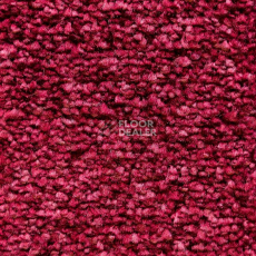 Ковролин AW Masquerade Costanza 19 фото 1 | FLOORDEALER